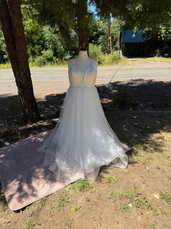 Cinderella fairy dust